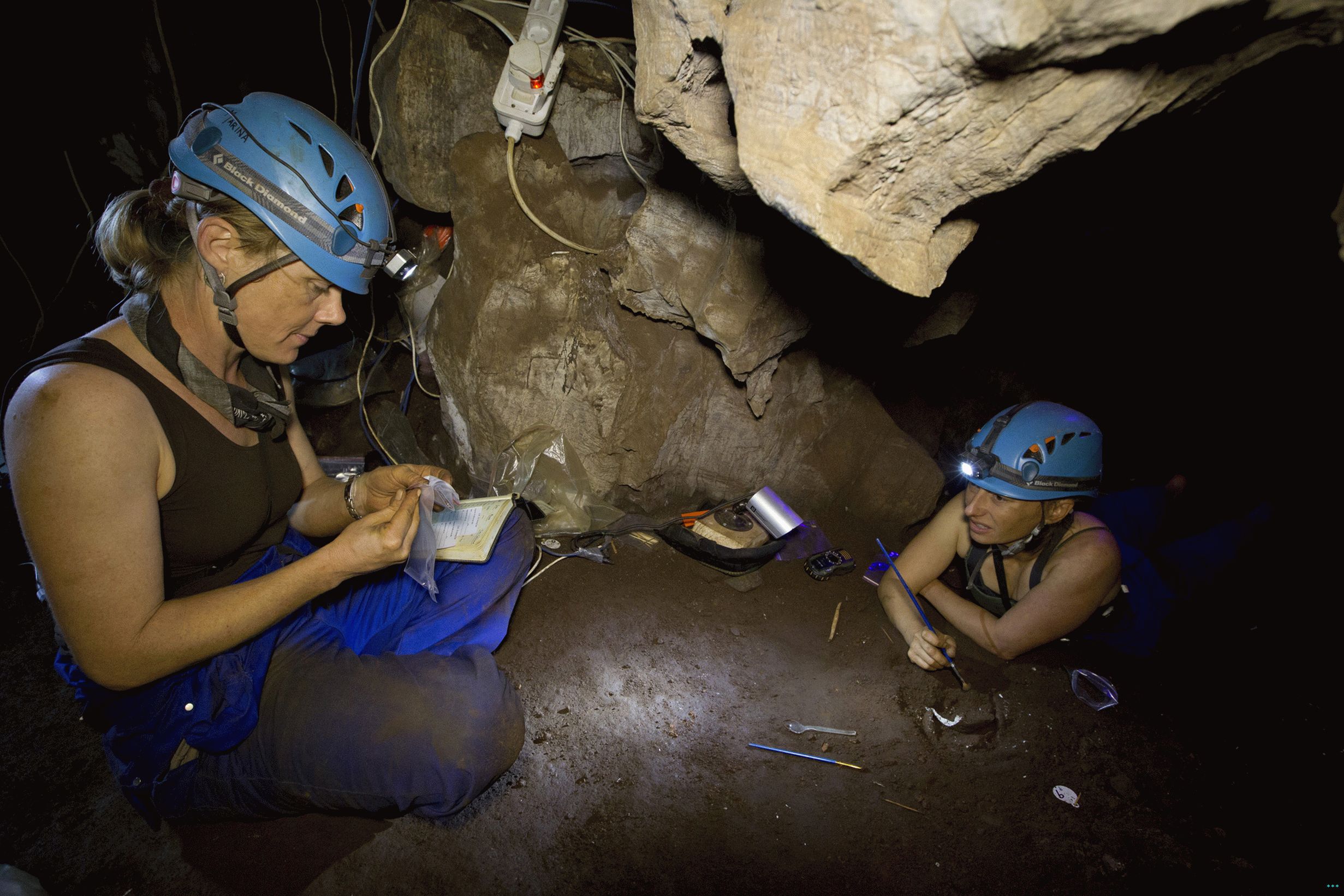 Homo naledi. Homo Naledi пещера. Райзинг Стар пещера. Пещера восходящая звезда.